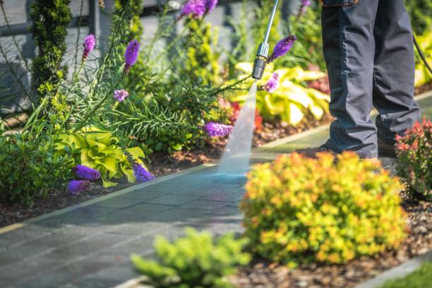 Best Patio and Deck Pressure Washing  in Cooperstown, NY